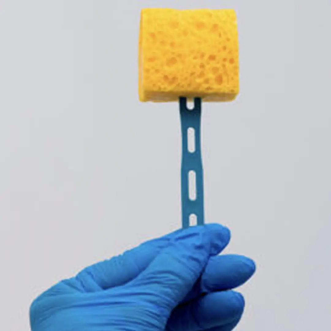 Esponja con Agua Peptona Tamponada (BPW) y Mango – BIOBOAVISTA