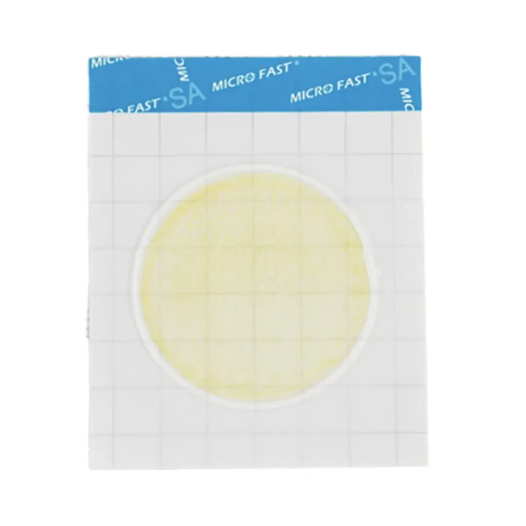 Placa de análisis Staphyloccocus Aureus Count Plate